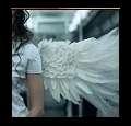 angelbread22