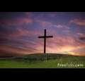 bereansearch1