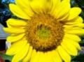 church-sc-anderson-new-spring-community-chr