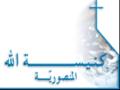 cogm2009
