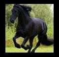 colec1