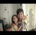 daubster