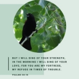 faithlivingministries