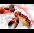 lebronjamescousin