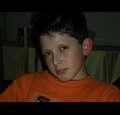 lsteed