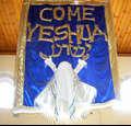 matthew2444