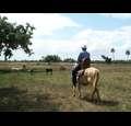 realityranchministries