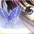 shiningdove23