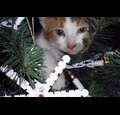 smittyb99