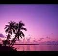 soldonhim