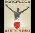 thebandsonicflood