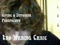 thewritingcritic